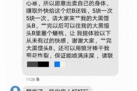 山东融资清欠服务